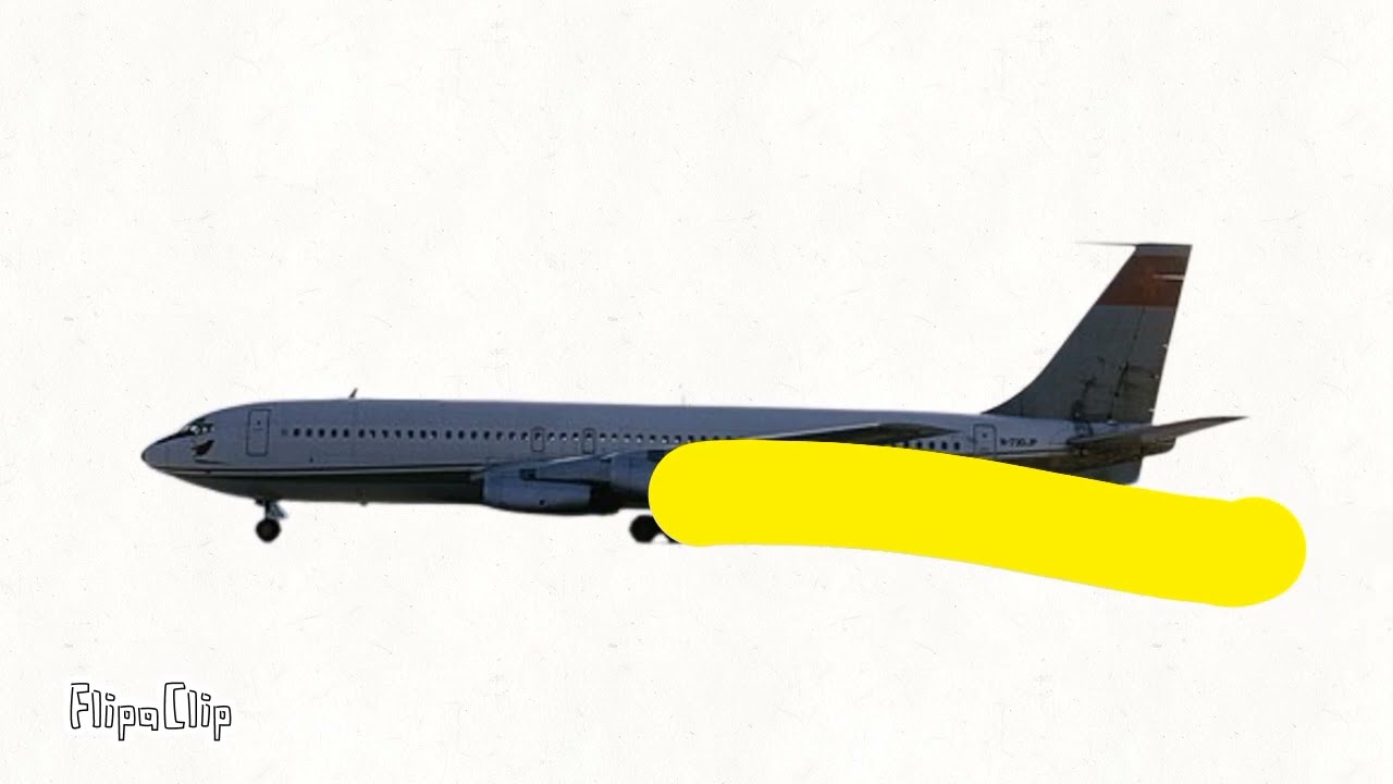 1976 Santa Cruz De La Sierra Air Disaster - Animation 