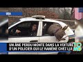 Un âne perdu monte dans la voiture d'un policier, qui le ramène chez lui