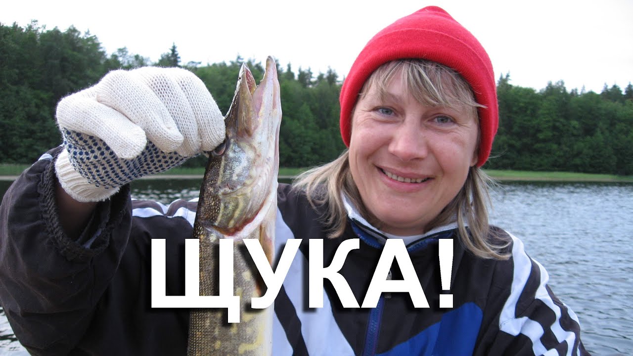Щука! Эту щуку я поймала!!! - YouTube