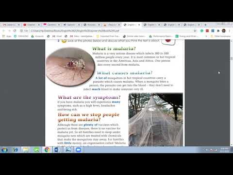 G5 English Unit 2 Lesson 2 Summary - YouTube