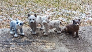 Wolf pups (schleich wolf series Ep2