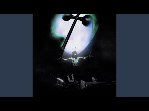 Putar Rose - Lord Gasp