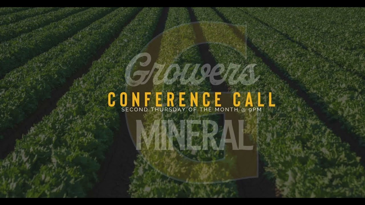 Конференц-звонок: декабрь 2025 года