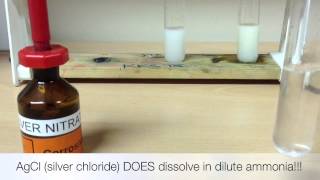 Testing For Halide Ions