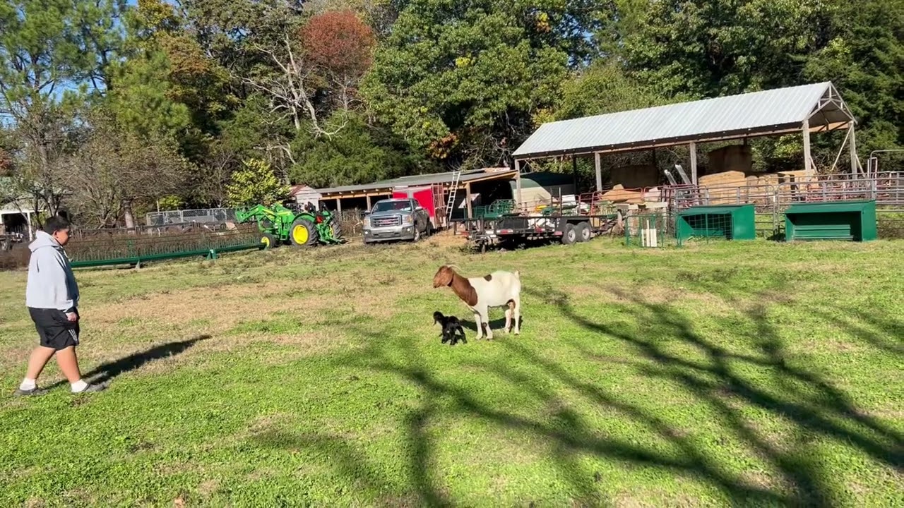 La primera cría de la temporada ￼