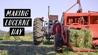 Cutting, Raking & Baling Lucerne (Alfalfa) | First Cut Lucerne | KAROO KIDS