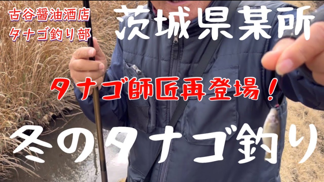 冬のタナゴ釣り（茨城県某所編）