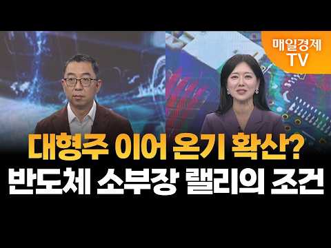[시장 한수] 반도체 소부장 현 시점 반등 성격은?/ 이권희 위즈웨이브 대표