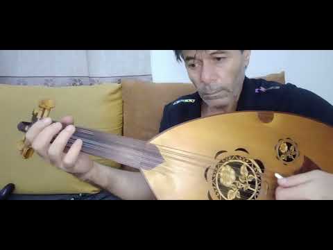 من جميع الخلق قلبي منتحي بشير حمد شنان 