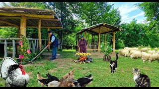 Бабушка Приготовила Пирог и Повидло из Айвы.  Плов с Курицей и Сухофруктами.