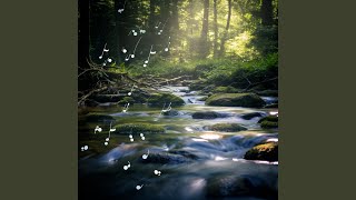 Stream Chords Study Peace