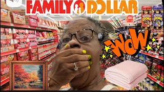 Let’s Check Out Hidden Clearance at Family Dollar! 