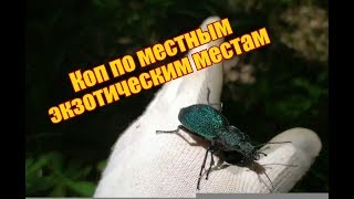 Коп по экзотическим местам Крыма 2019