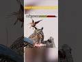 Nature reflex ✅💀 l Falcon vs cat #nature #reflexion #falcon #cat #shorts #viral