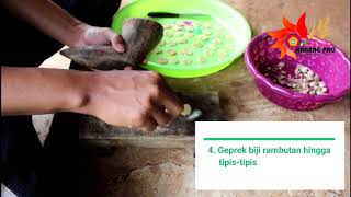 Cara Membuat Emping Biji Rambutan (EMPIRA)