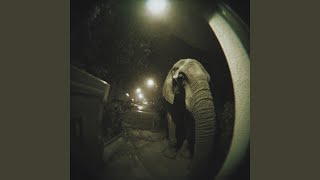 Elefante