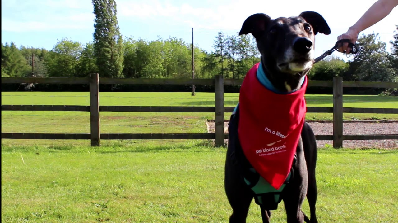 Have a look inside our first mobile donation unit!