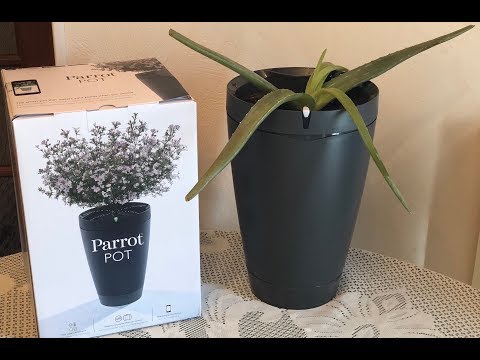J'ai un pot de fleurs connecté : le Parrot Pot !