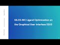 SILCS-MC Ligand Optimization on GUI
