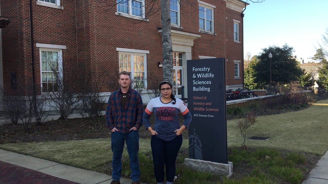 SFWS Deer Lab TGD Project - Thank You Video