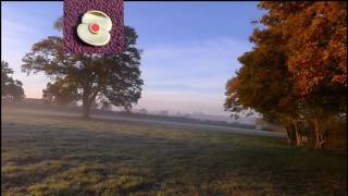 Remembrance Day 2016 Nov 11th