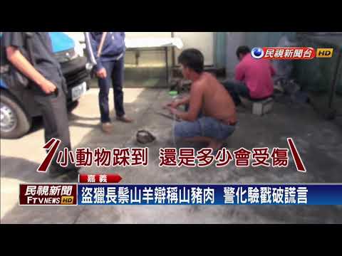 男盜獵台灣長鬃山羊 警查獲時已成冷凍肉塊－民視新聞