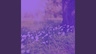 Background for Vitality