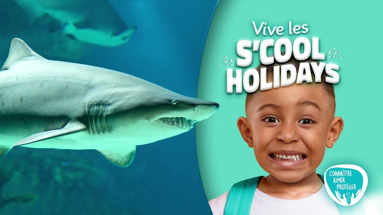 Enjoy your holidays to the largest oceanarium of the Mascarene Islands.