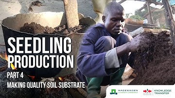 Seedling Production Part 4 – How to Create Quality Soil Substrate