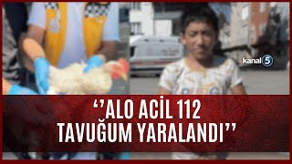 Alo Acil 112 Tavuğum Yaralandı