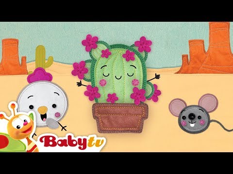Zszywaki BabyTV Polski 