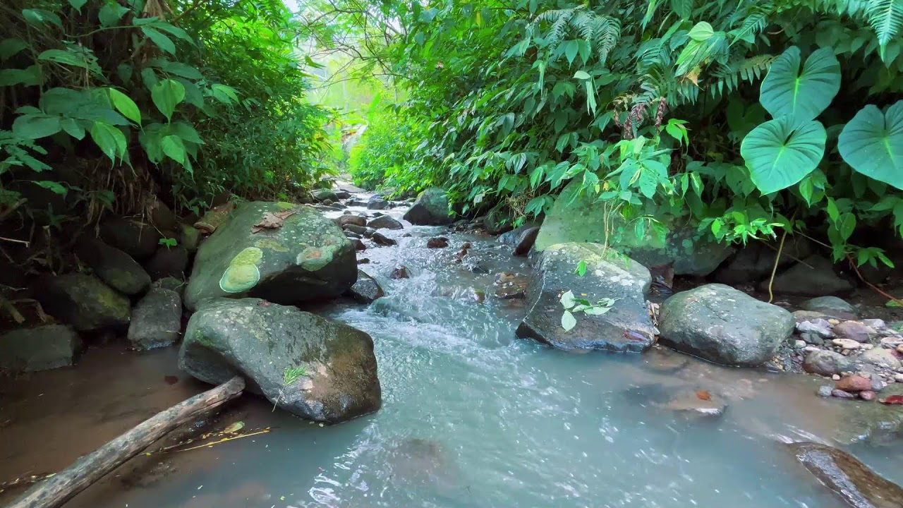 No Music - Constant Natural Water Sounds for 10 Hours