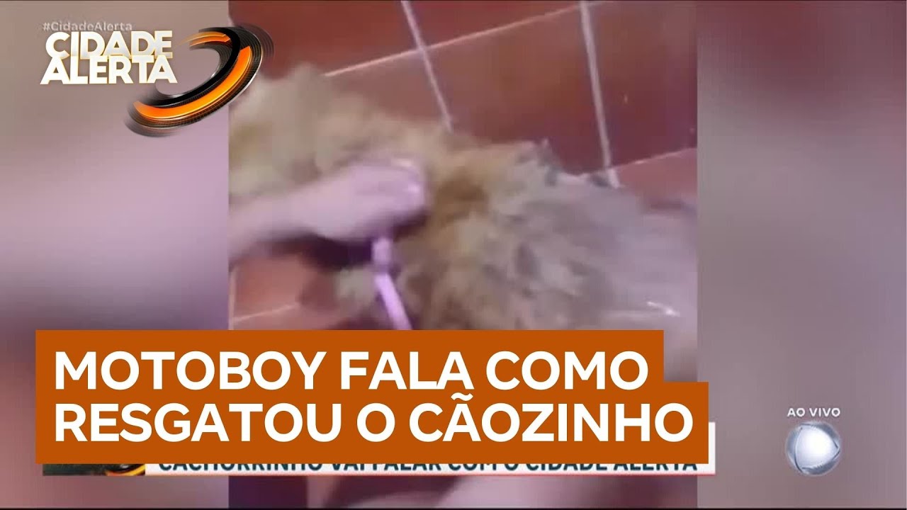 Herói do dia: motociclista que resgatou cachorrinho do Rodoanel fala com o Cidade Alerta