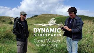 Sand Waves: a sand dune-inspired compilation by sound artist Mac Dunlop