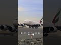 これが、飛行機のタイヤが1本あたり這麼に高い理由です