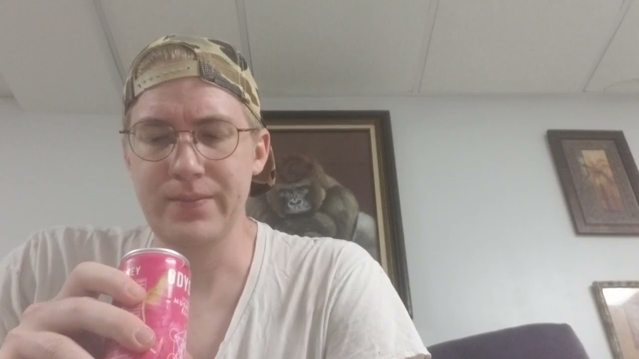 odyssey sparkling mushroom elixir review