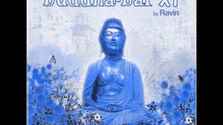 Buddha-Bar XI by Ravin//Dave Seaman - Gobbledygook (Funkagenda's Repulse Remix)