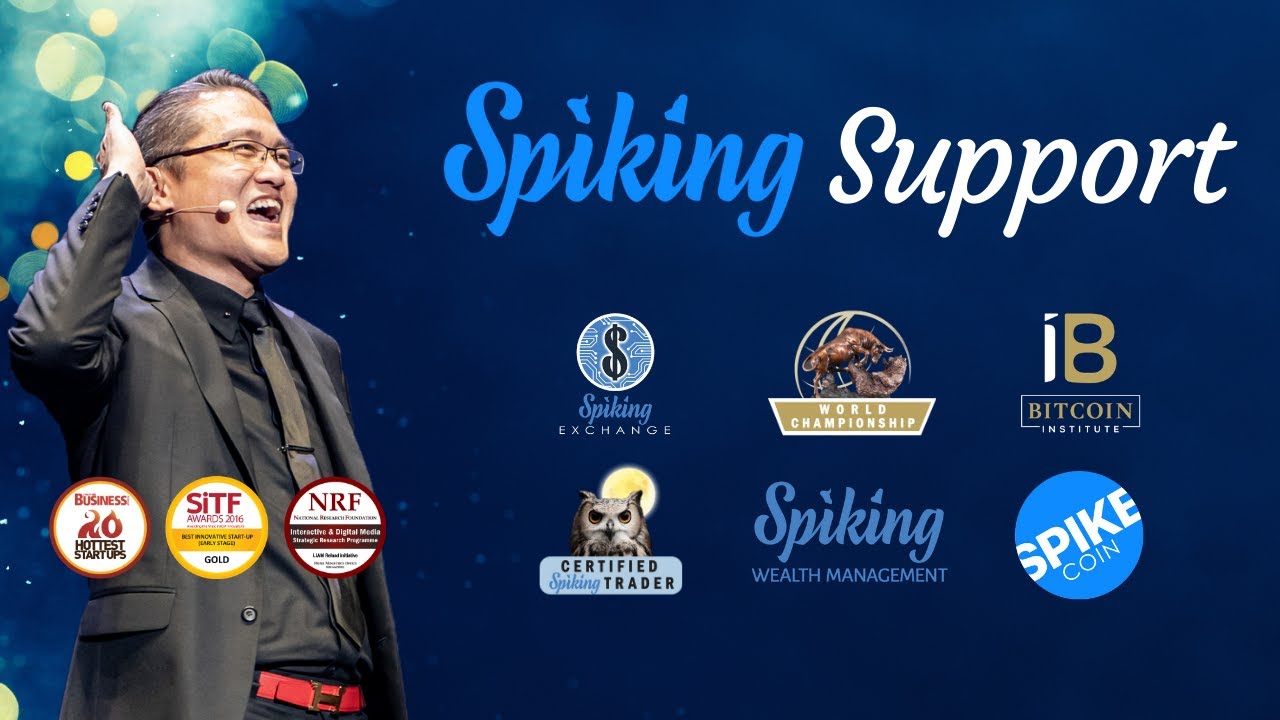 Spiking Support 🆘 How To Update MEW Wallet