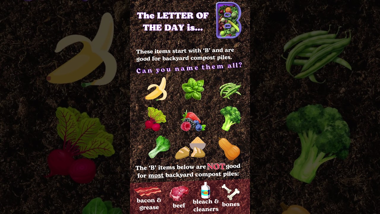 Today's Letter of the Day is B 