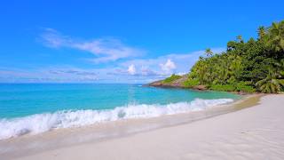 🏝 Crystal Turquoise Waters in Seychelles. Ocean 4K Ultra HD
