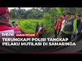 Potongan Tubuh Wanita di Semak-semak, Pelaku Suami Siri dan Ibu Angkat Korban | Kabar Petang