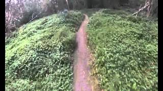 Bruce's Loop - Yarra Trails