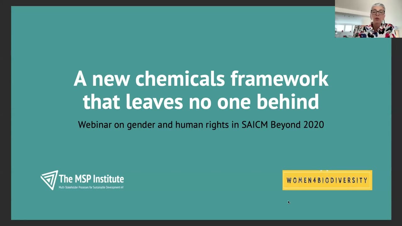 A new chemicals framework that leaves no one behind – gender and human rights in SAICM Beyond 2020