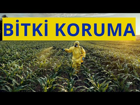 Bitki Koruma Tercih Edilmeli Mi?