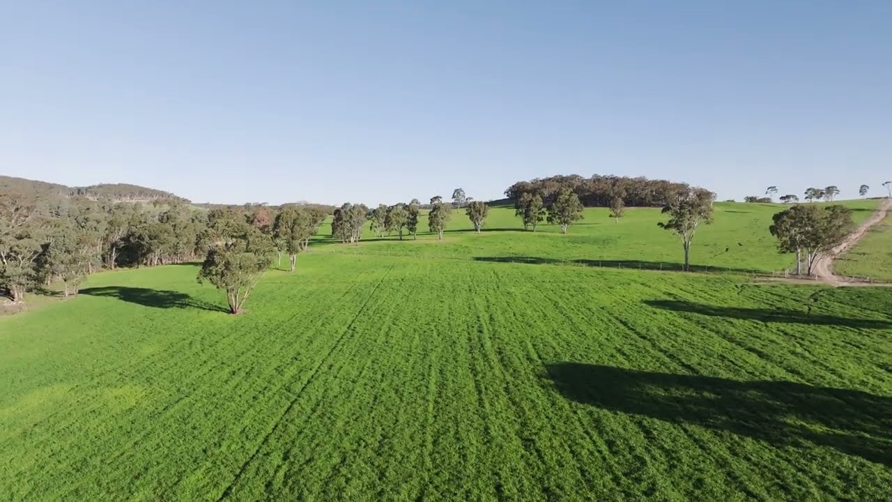 McGrath Estate Agent Presents 318 Belgravia Road, Mullion Creek