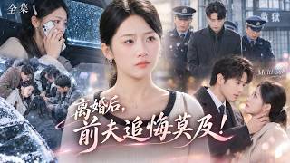 暴雪夜，亲眼看着老公驮着新欢绝尘而去！她彻底心死清醒，亲哥霸气撑腰冷静收集证据，果断甩出离婚协议让渣男付出惨痛代价！#短剧 #全集 #drama screenshot 4