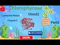 CHLOROPHYCEAE|CLASS11|NCERT|PLANT KINGDOM|CHAPTER3|COMPLETE NOTES 📝 