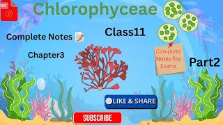 CHLOROPHYCEAE|CLASS11|NCERT|PLANT KINGDOM|CHAPTER3|COMPLETE NOTES 📝