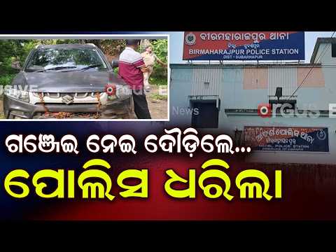 Subarnapur Police & Excise Seize Huge Cache Of Ganja From 3 Cars | Argus News