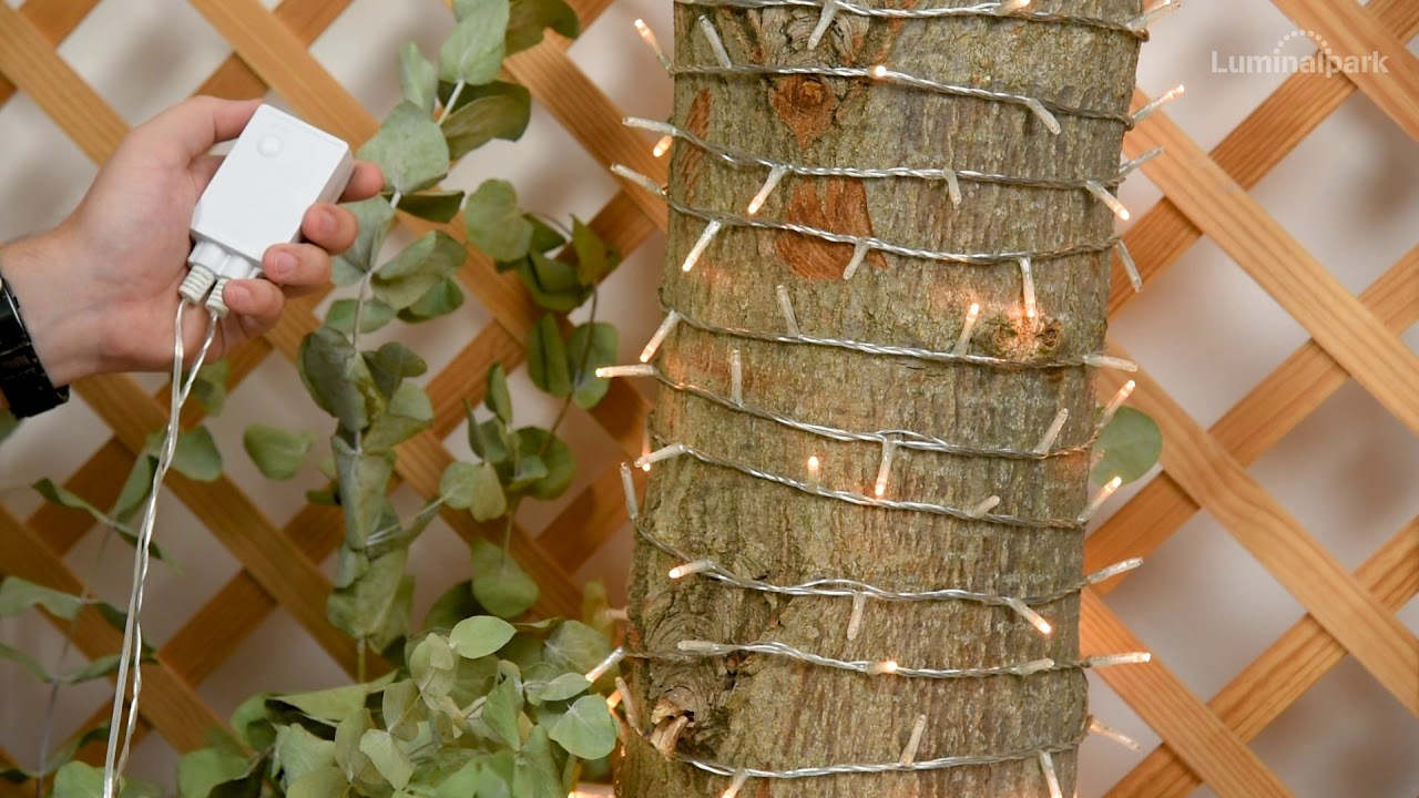 Catena 53 m, 750 miniled bianco caldo tradizionale, cavo trasparente (cod. 44814)